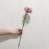 ลาเวนเดอร์