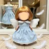 Blue Dress-without dolls