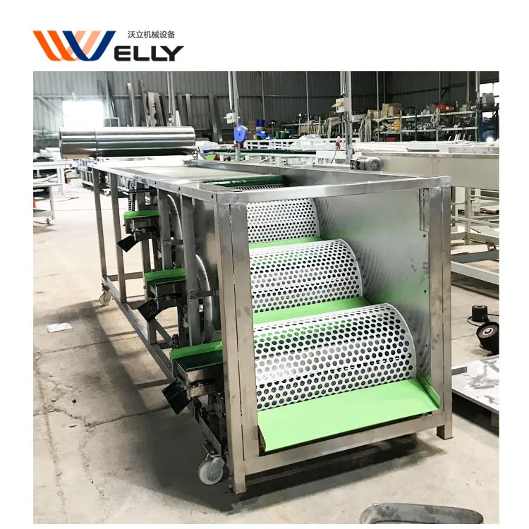 More Convient Automatic Blueberry by Size Sorter Grader Machine With Cushioning Material