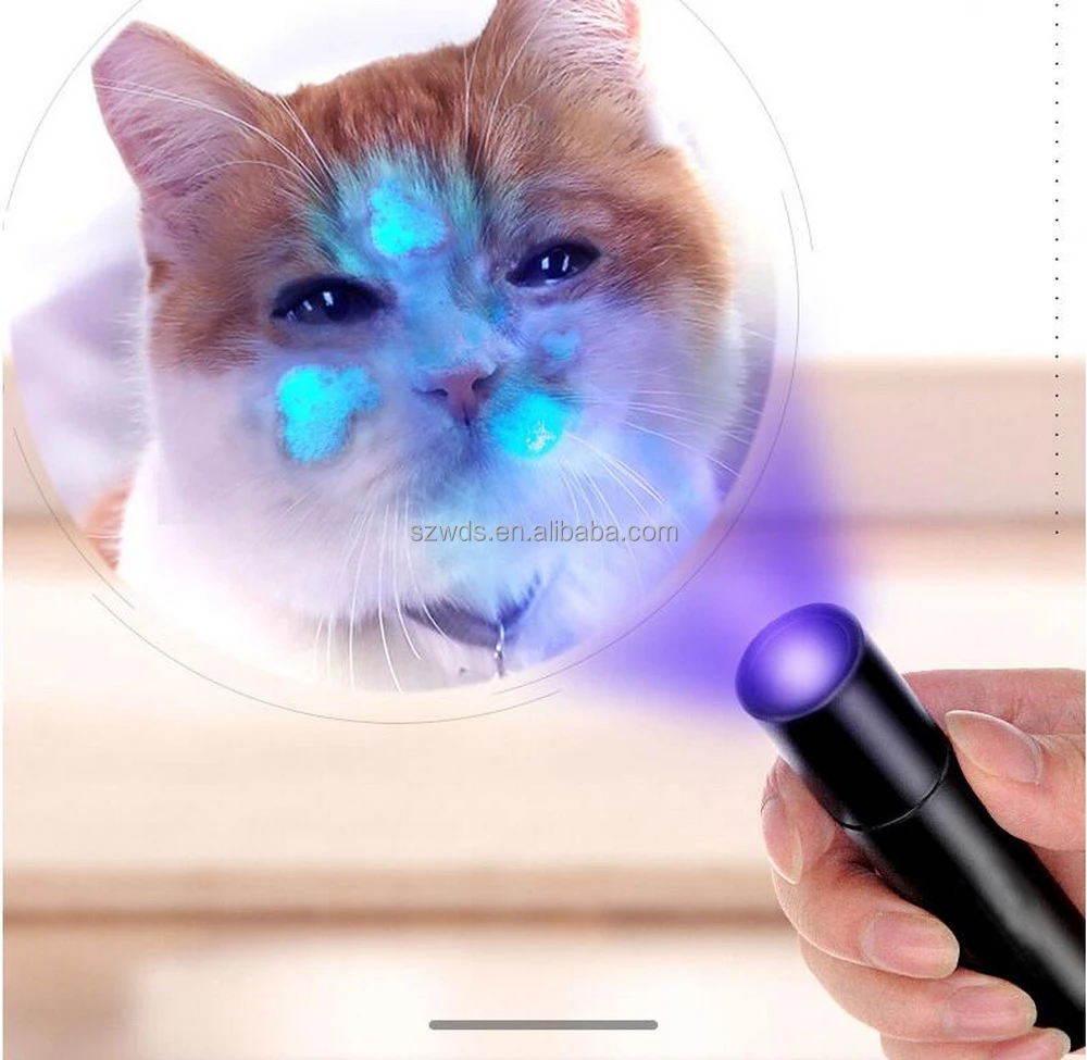UV Wood's Lamp USB Rechargeable UV Flashlight Pet Skin Ringworm Fungal Diagnosis Skin Analyzer