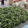 Green 02
