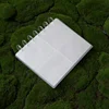 transparent color-Transparent buckle