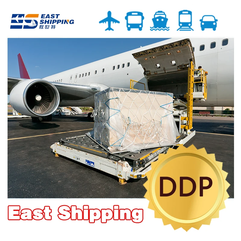 East Shipping Agent To Germany Freight Forwarder Logistics Agent Air Sea Freight DDP Shipping Clothes China To Germany