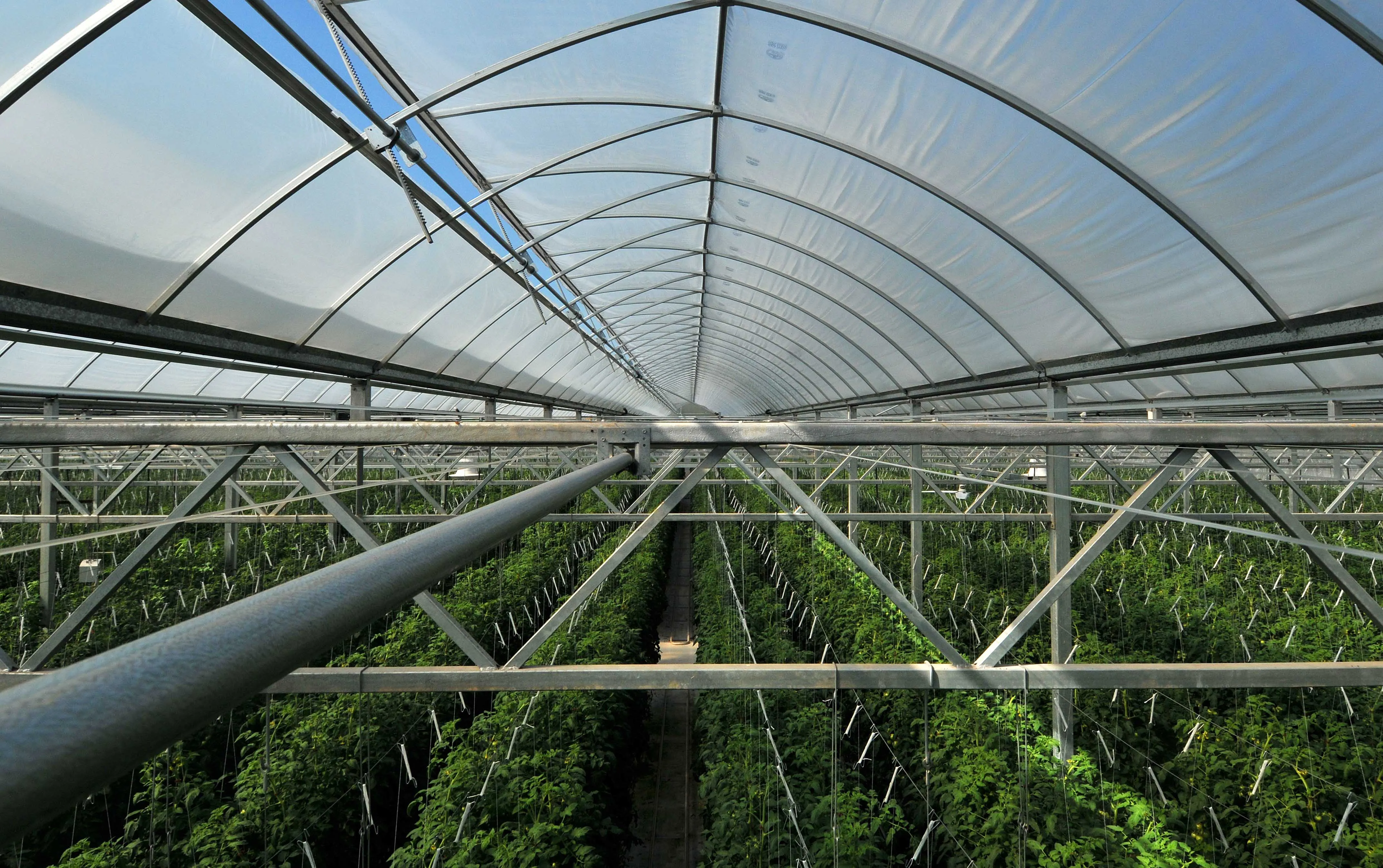 Теплица Greenhouse