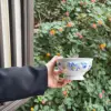 Blue  bowl