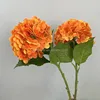 Arancione