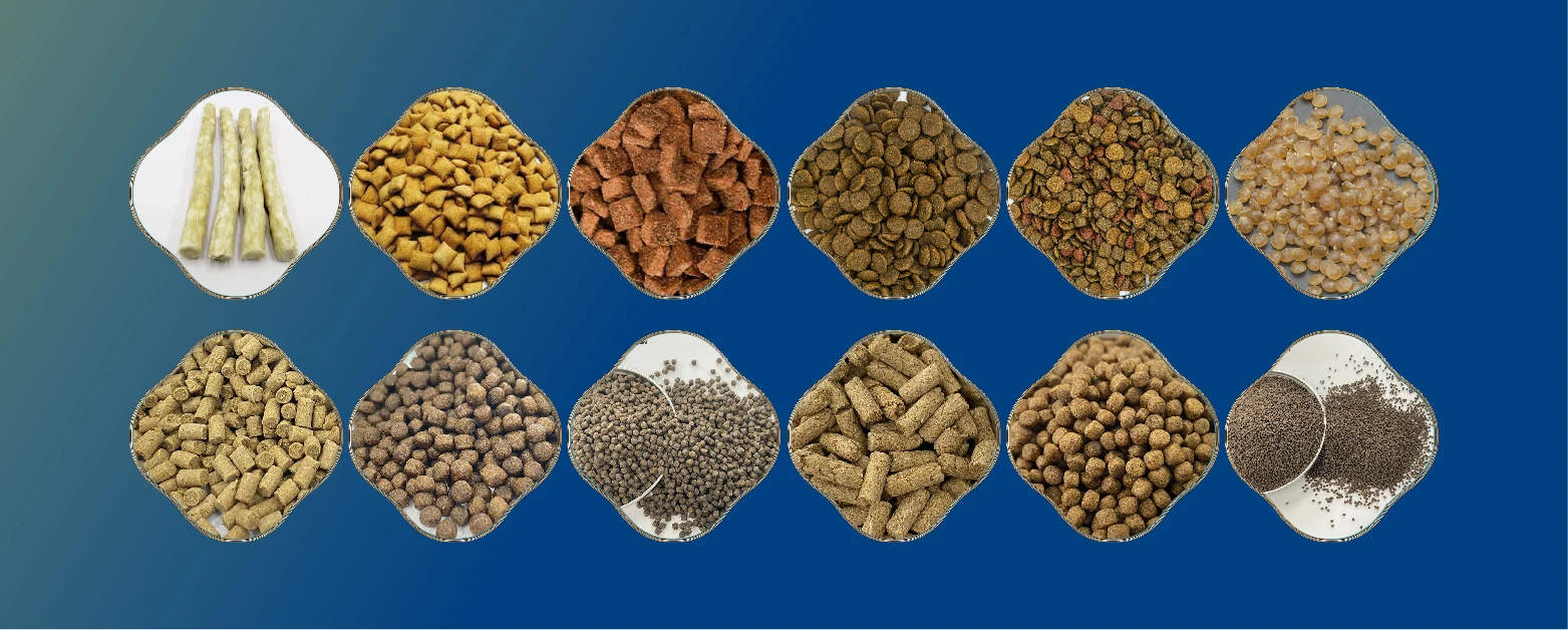 2025 Automatic Variety of Shapes and Colors Direct Expanded Kibbles ...