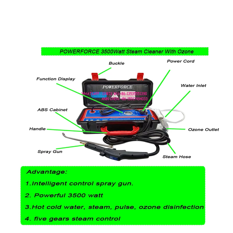 Ozone Portable Steam Cleaner Machine 110V 1700W 220V 3500W High Temp Steaming Machine for Car Detailing Household Dirt Removal