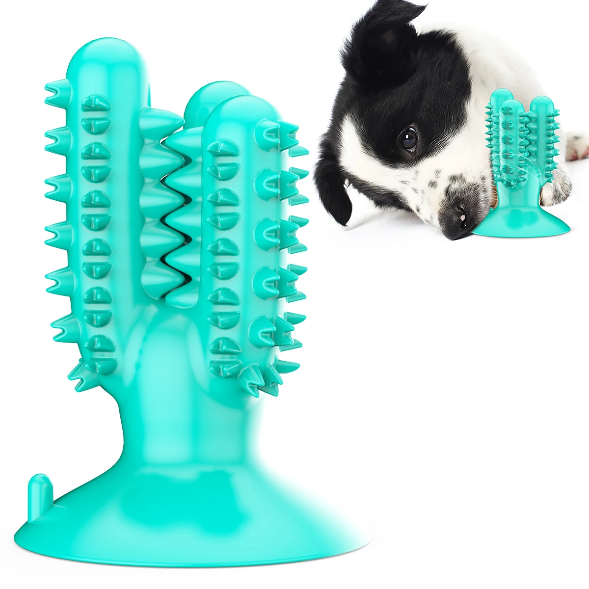dog chew toothbrush