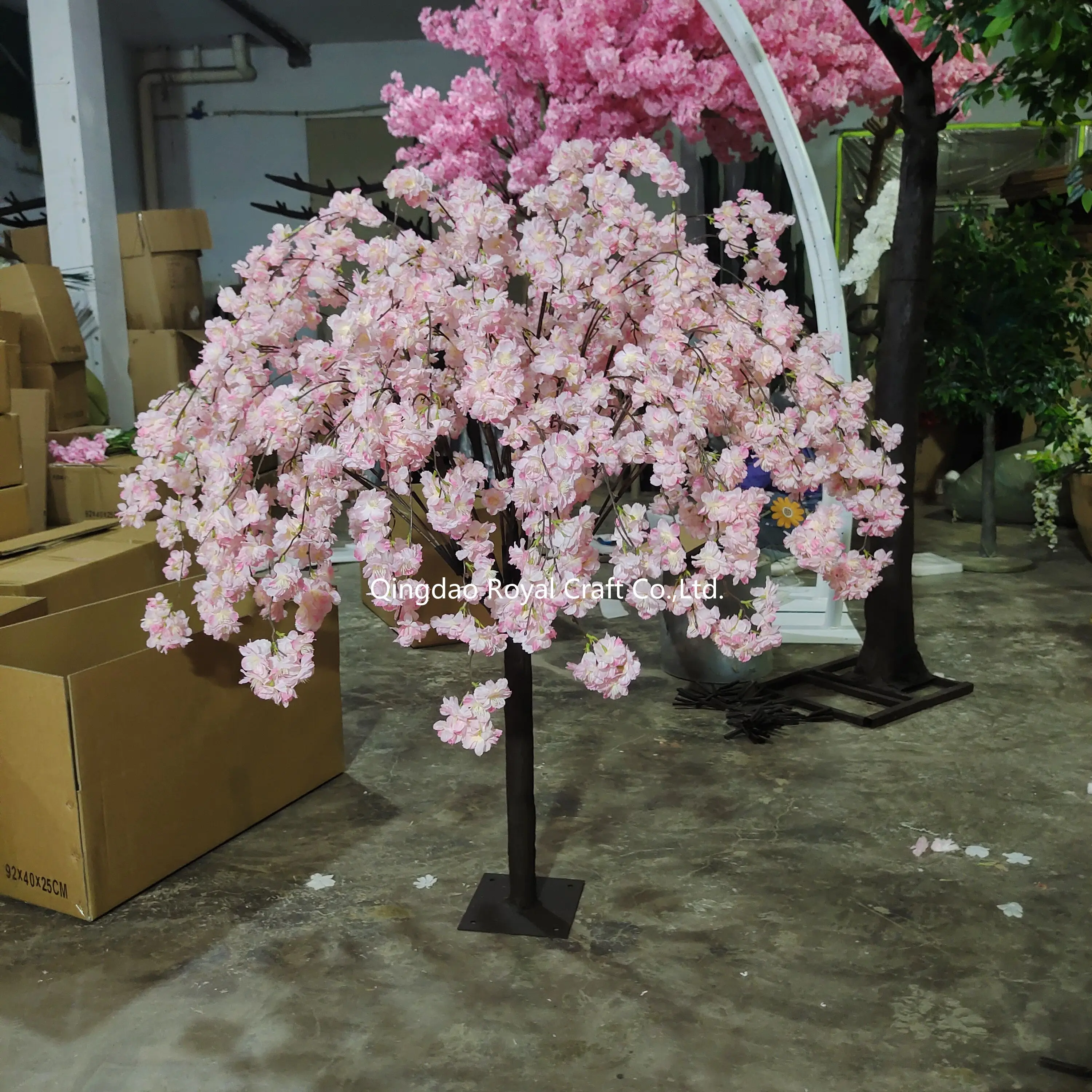 Albero Di Sakura Magico - Decorazione Giapponese 13,5 Cm - Fiorisce Con Acqua - Per Desktop E Casa - Foto 12