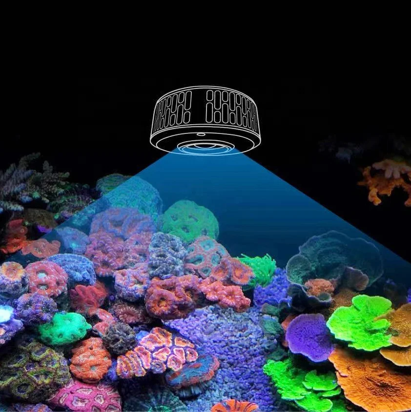 Dimmable 2024 aquarium light