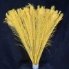 Amarillo