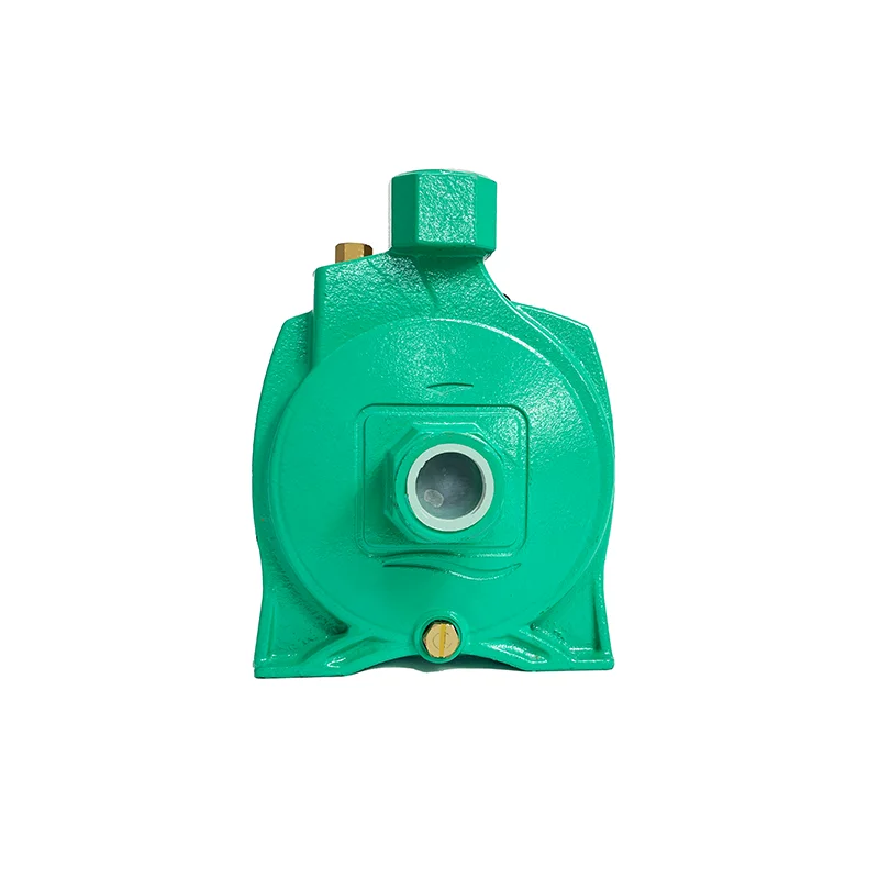1hp Standard Clean Water Pump High Flow High Pressure Electric