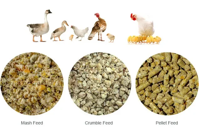 Можно feed. Можно feed