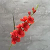 Atardecer rojo