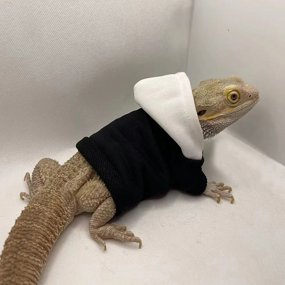 Pet Clothing Lizard Clothes Cute Versatile Options