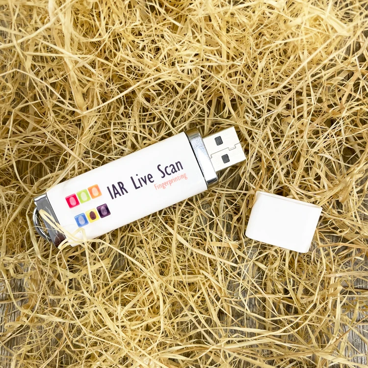 Bulk Cheap Business Gift Plastic USB Flash Drive 1GB 2GB 4GB 8GB 16GB 2.0 USB Stick Pen Drive with Custom Logo - ANKUX.COM