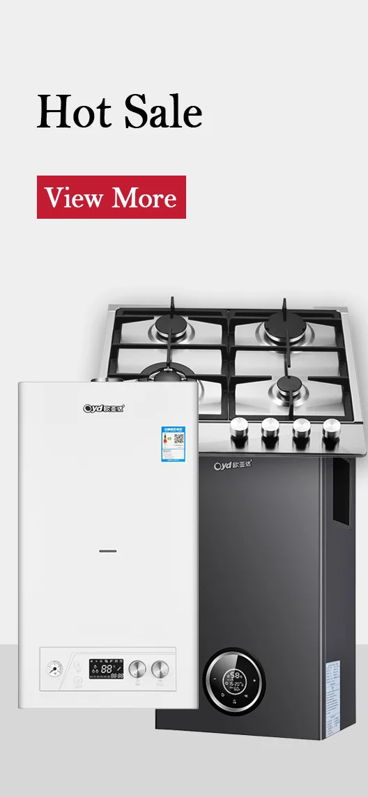 Gas Boiler, Metal, Burner - detail 6