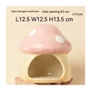 Big Mushroom-Powder