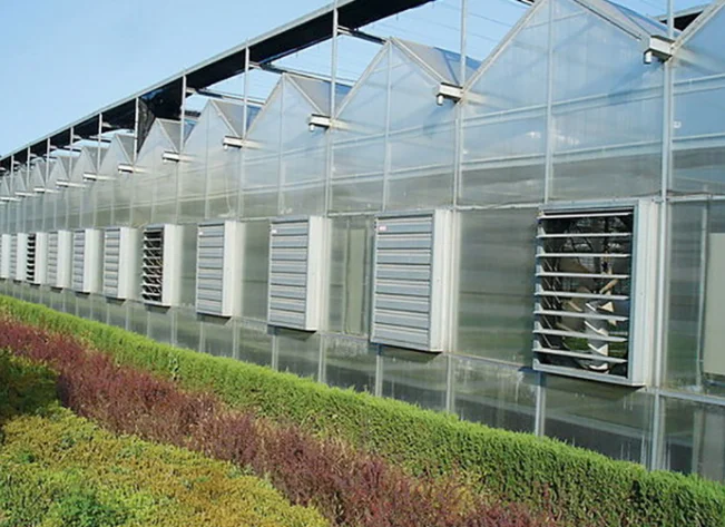 Hangmei Commercial  Agricultural Polycarbonate Greenhouse with Hydroponics System for tomato