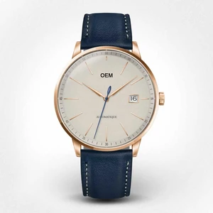 OEM Custom logo Business Casual Luxury Mechanical Watch Classic Elegant Men Automatic Watches with Miyota 8215 Movement