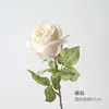 Princess diana rose-white-one piece