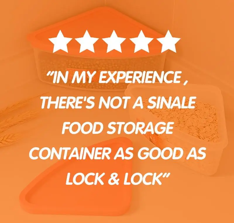 Triangular Food Storage Containers Set For Corners Vegetable