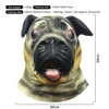 Shar Pei