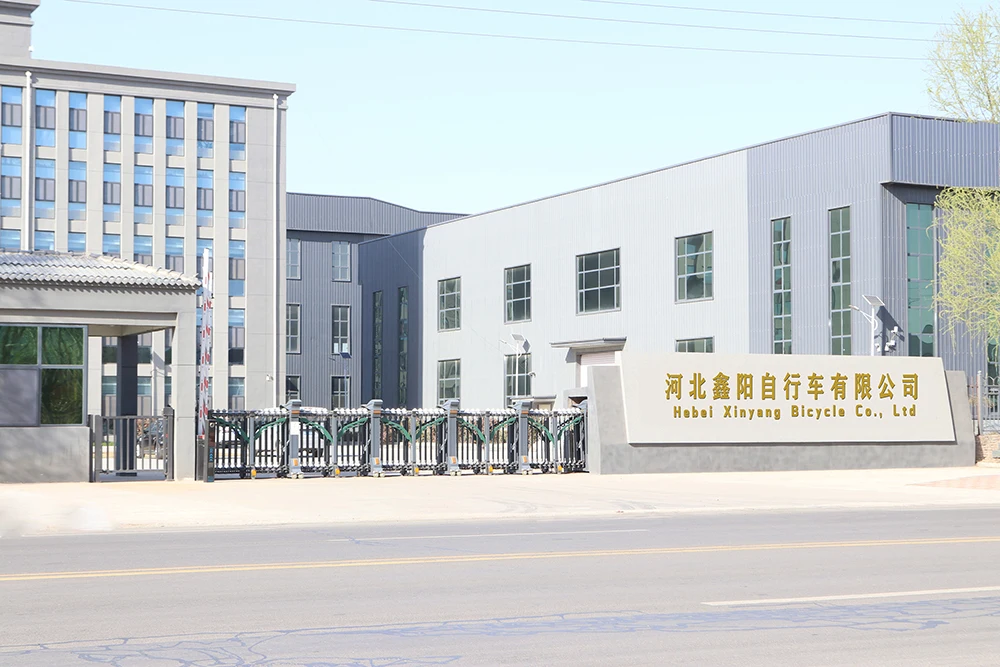 Hebei Xinyang Bicycle Co., Ltd. 1