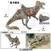 colorful The M-274 Cuenca dragon has a biting