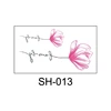 SH-013