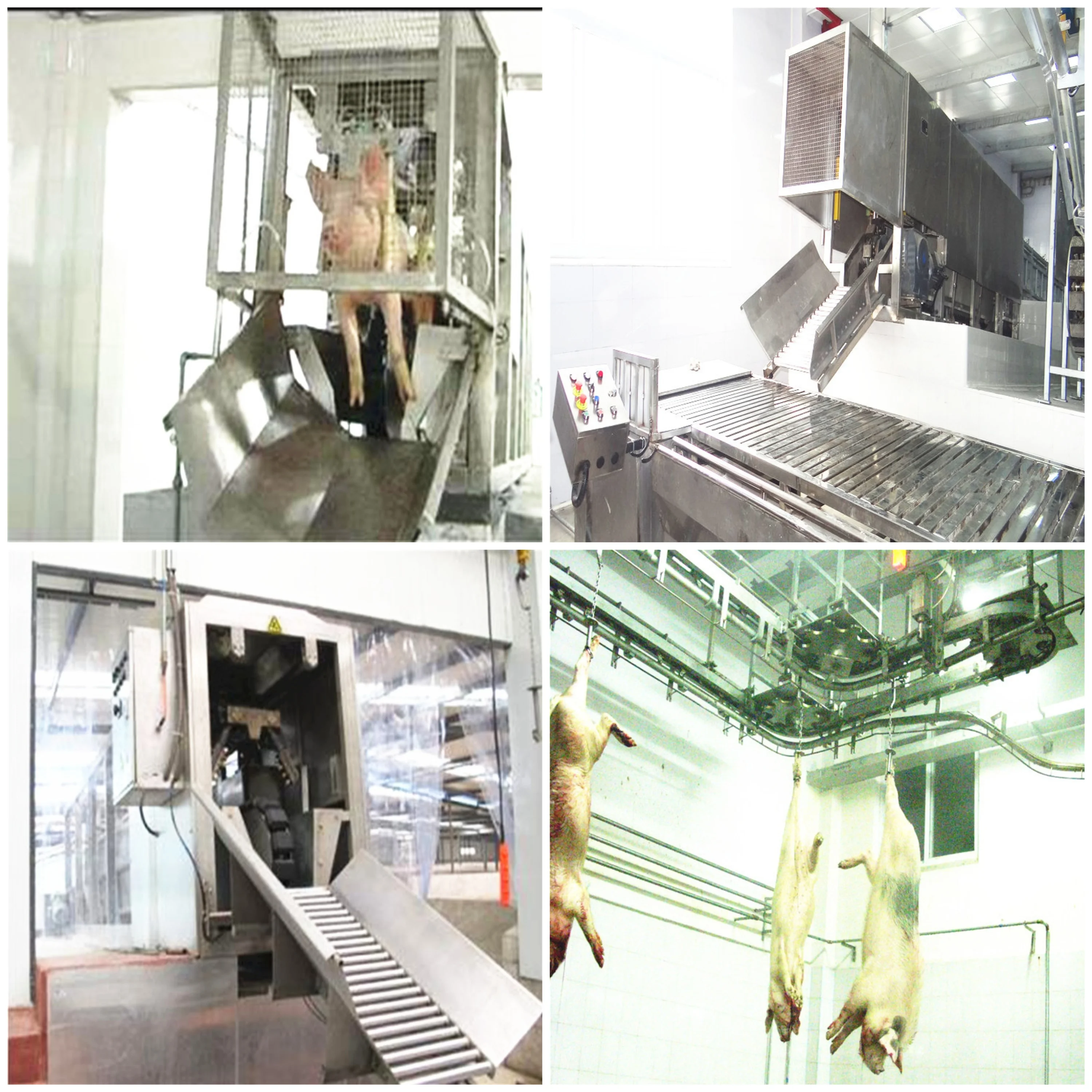Hot selling pig slaughterhouse and meat processing equipment for efficient pig slaughterhouse
