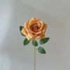 สีส้ม