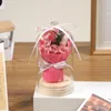 rosa un