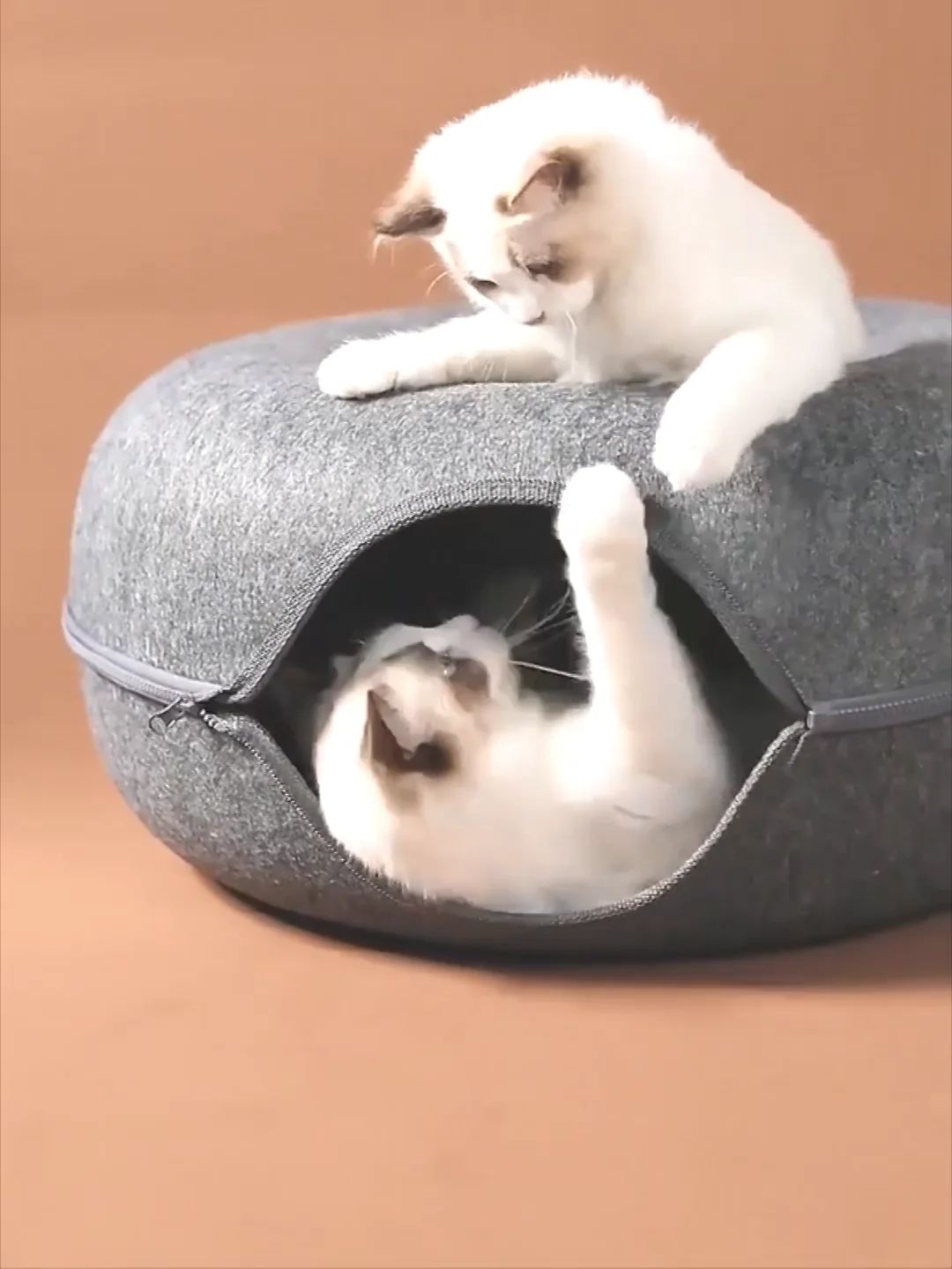 All Seasons Usage Donut Shaped Cat Cave Hard Felt Cat Donut Tunnel Bed