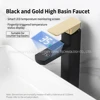 Black Gold High Faucet