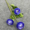 Ranunculus 2