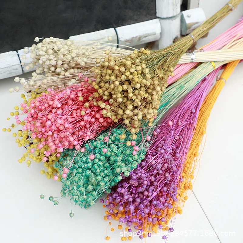 Wholesale Top Quality Jequirity Bean Dry Jumble Beads Bouquet Bulk Dried Flowers Decoration