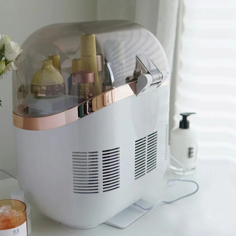 Hot Selling Low Price Dropshipping Cosmetics Fridge 22L Portable Makeup Organizer Storage Box Beauty Refrigerator for Skin Care