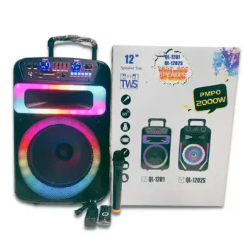 Outdoor Wireless Portable 12 inch Trolley Speaker With Wireless Mic LED Colorful Light Big Power DJ Party Karaoke Speaker