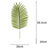 Areca palm-light color-medium leaves