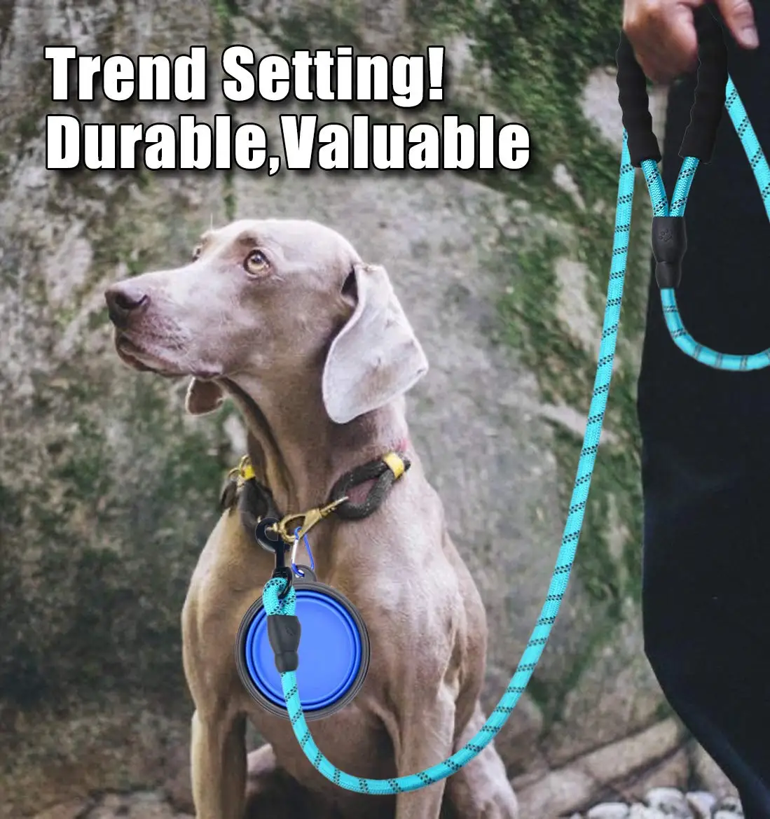 Прямая продажа с фабрики высококачественный поводок для собак товары домашних