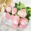 Roses de conte de fées roses