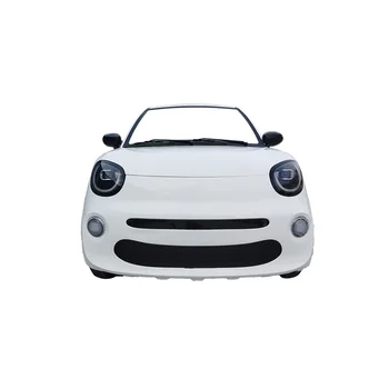 EEC Certified 4-Passenger Electric Car Mini 4-Wheel Closed Body 60v EV Auto for Daily Use