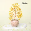 Citrino
