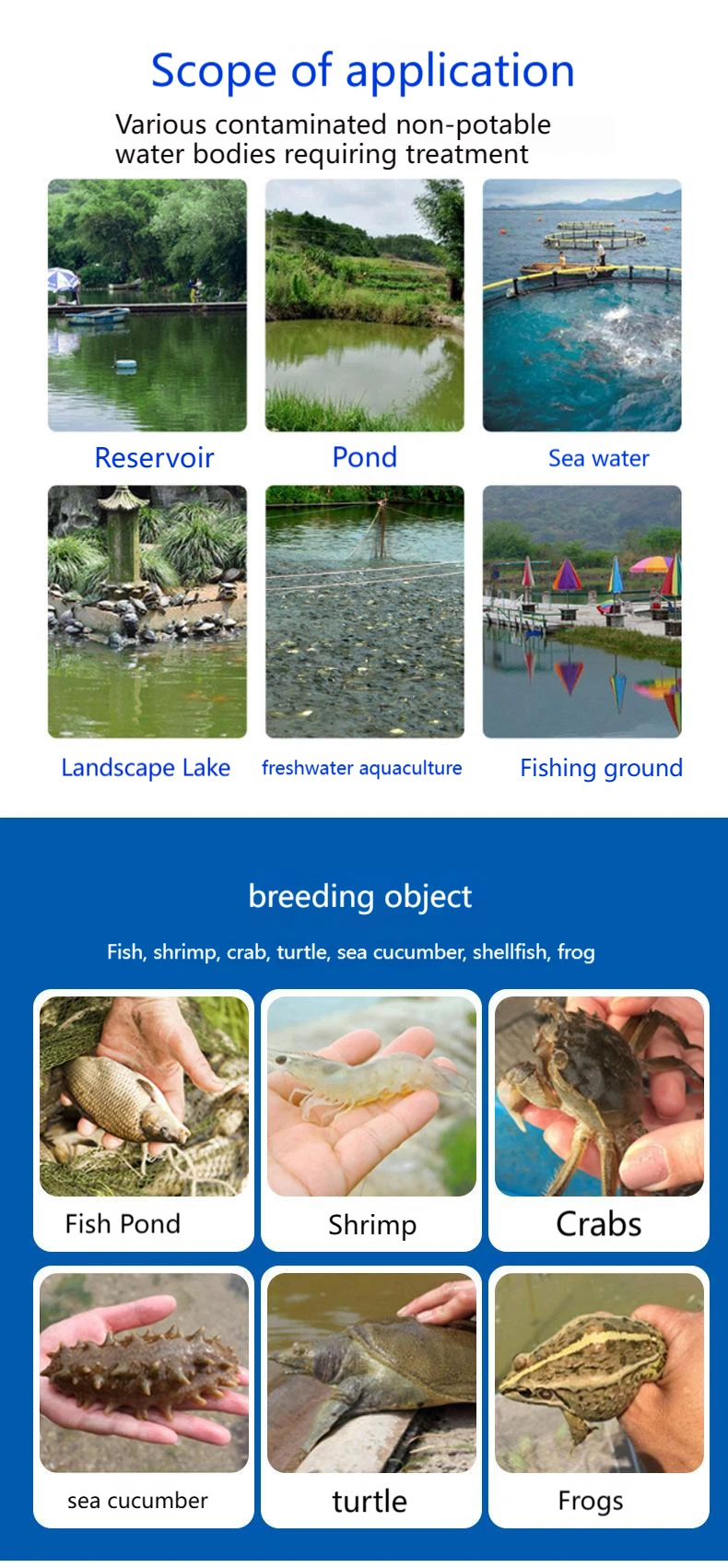 Anteruier Disinfection And Sterilization Of Black And Odorous Sludge In