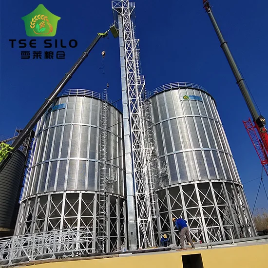 500tons Galvanized Sheet Feed Grain Storage Silo Grain Corn Flour for Poultry Chicken Farm