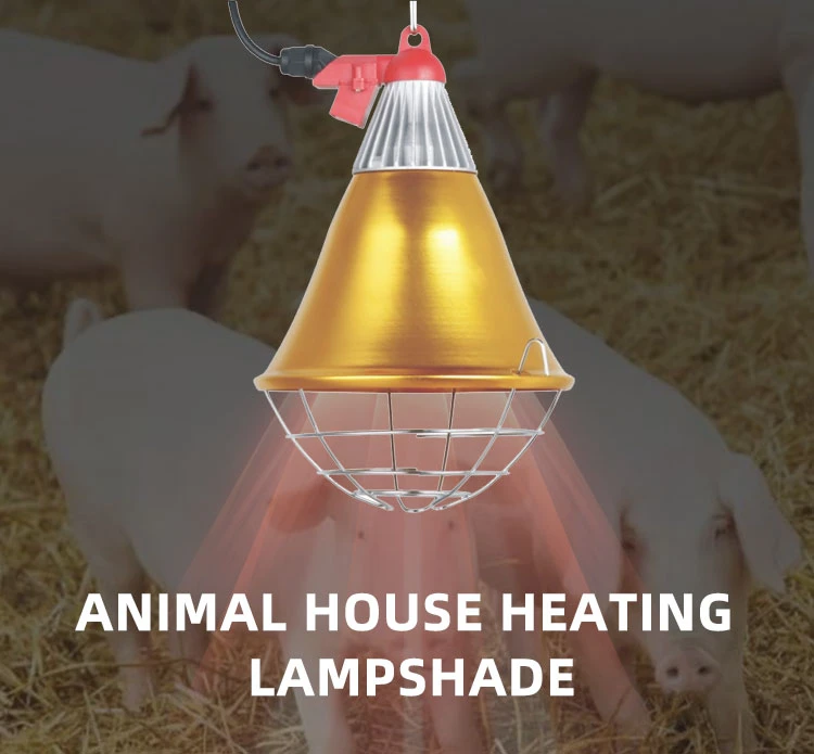 Oem Factory Animal Lamp Chicken Heat Bulb 250w Coop Lamps Intelligent