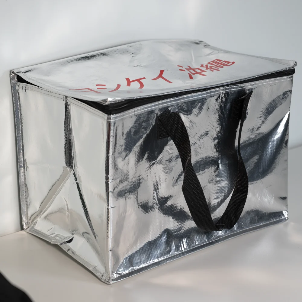 Mataas na Kalidad na Handle Laser Zipper Closure Folding Plastics Birthday Cake Cupcake Delivery Insulation Bag