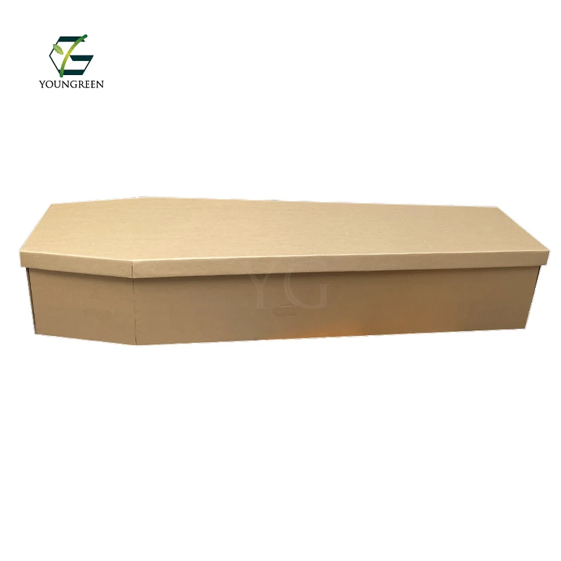 Cercueil En Carton Style Europeen Caisse Pour Creme Prix Buy Cercueil En Carton Cremation Cercueil Cercueil En Carton Boite Product On Alibaba Com